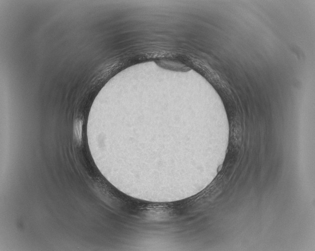 X0000115390070200912151508