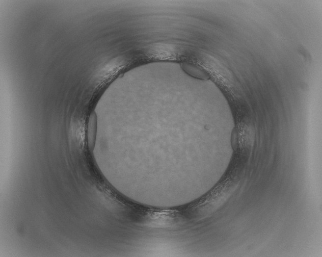 X0000115390072200912151508