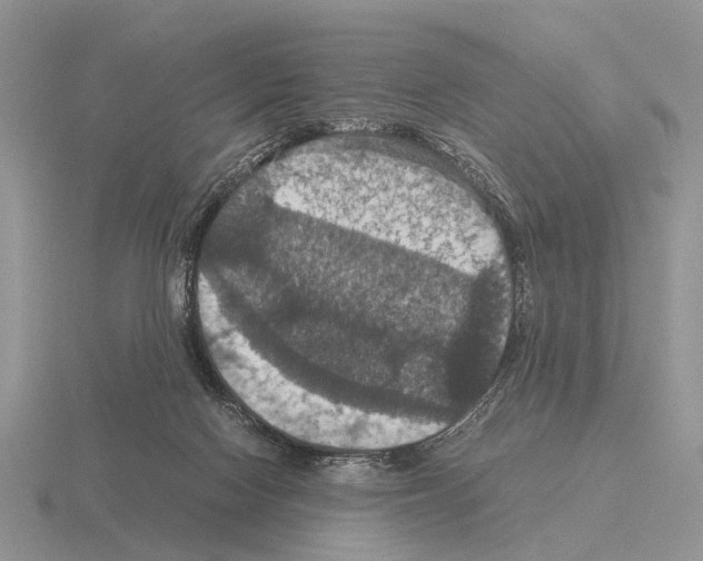 X0000115390074200912151508