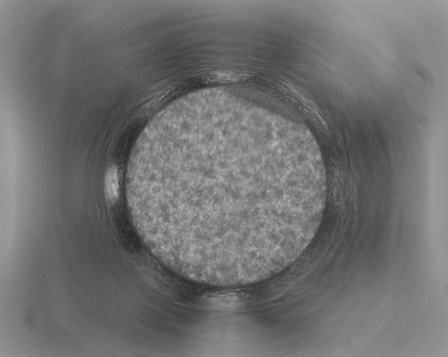 X0000115390075200912151508