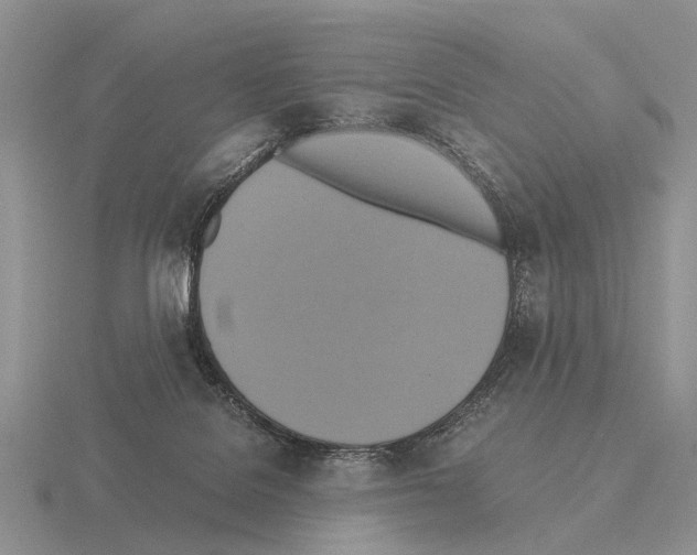 X0000115390076200912151508