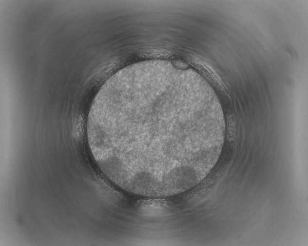 X0000115390077200912151508