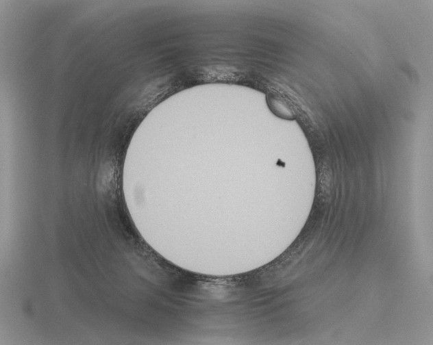 X0000115390079200912151508