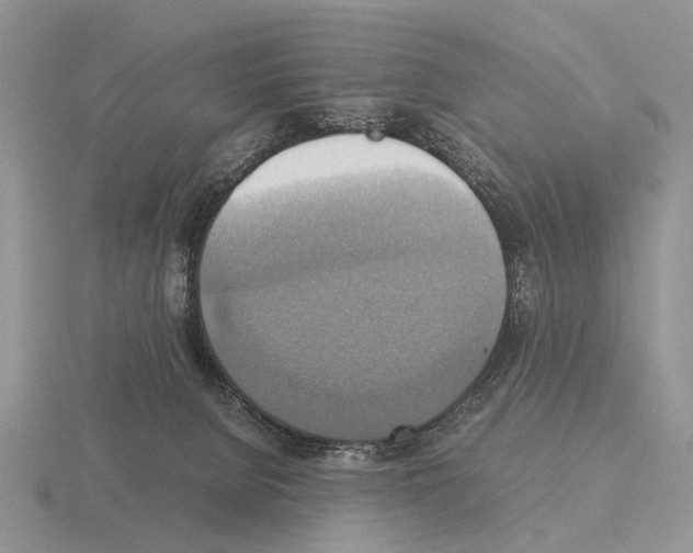 X0000115390080200912151508