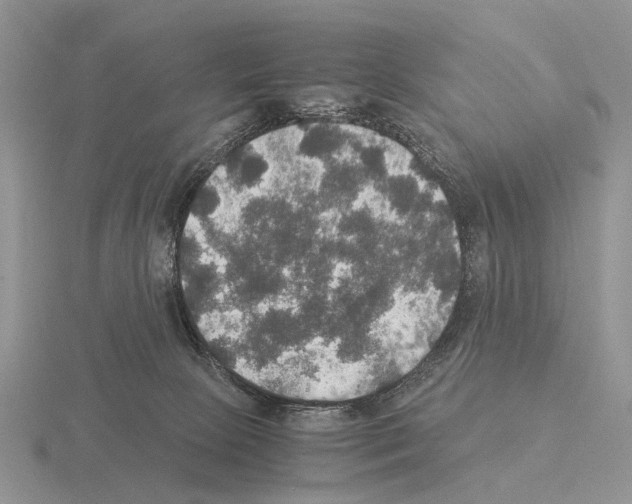 X0000115390081200912151508