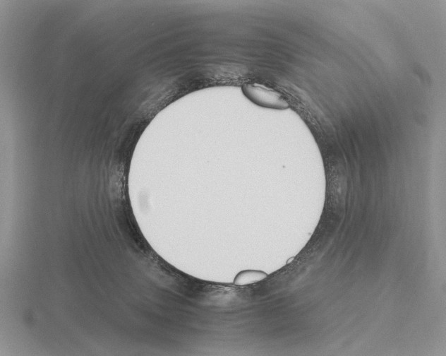 X0000115390083200912151508