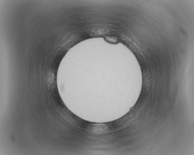 X0000115390087200912151508