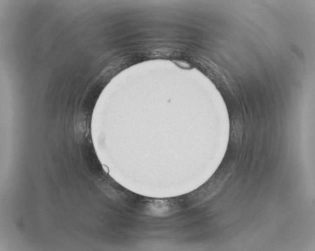 X0000115390091200912151509