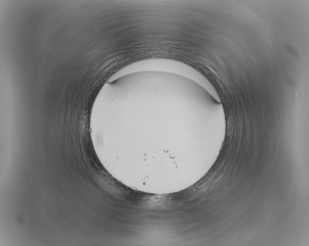 X0000115390092200912151509