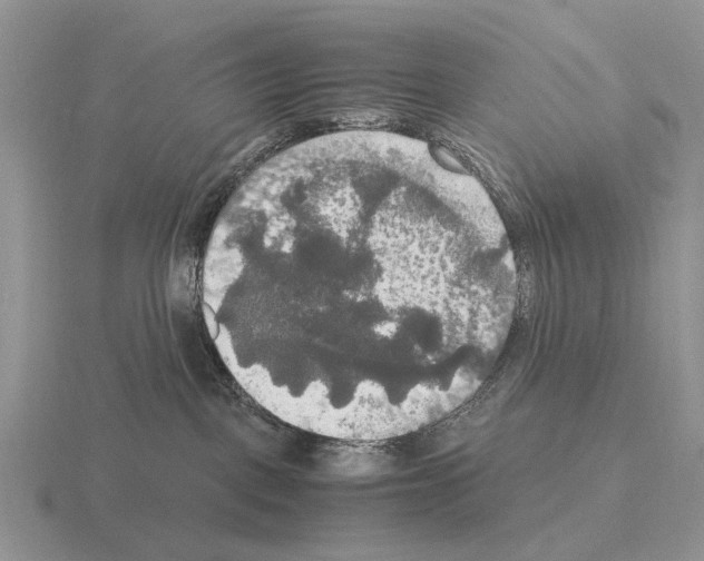 X0000115390093200912151509