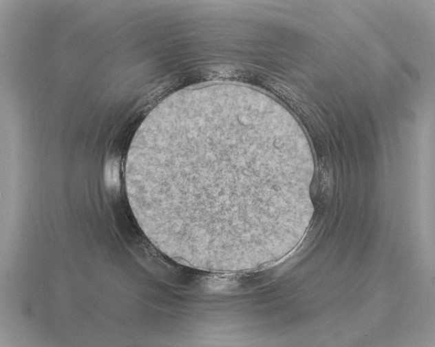 X0000115390094200912151509