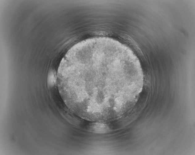 X0000115390095200912151509