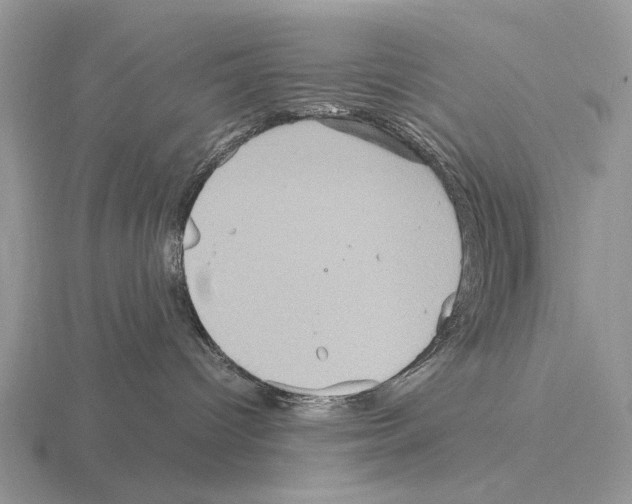 X0000115390096200912151509