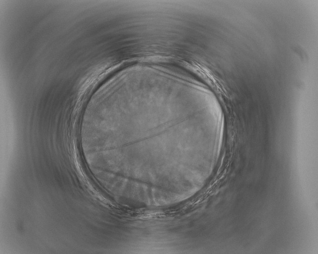 X0000115390097200912151508