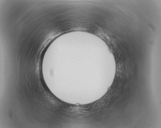 X0000115390098200912151508