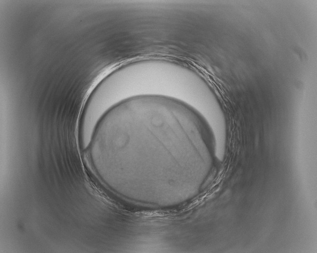 X0000115390100200912151508