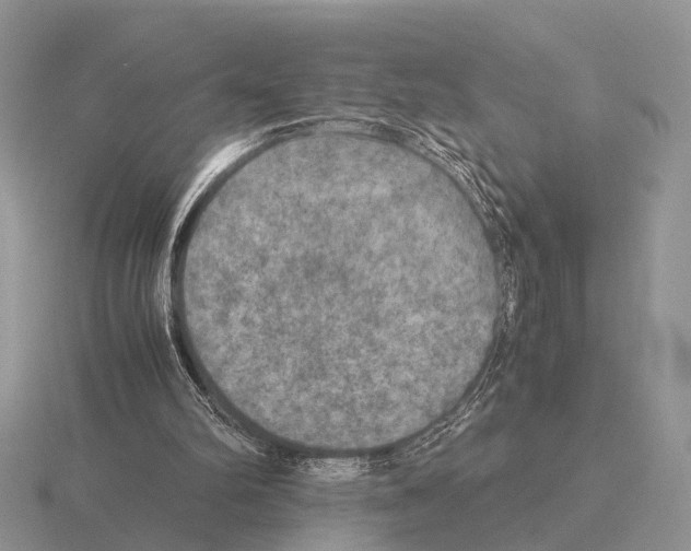 X0000115390102200912151508