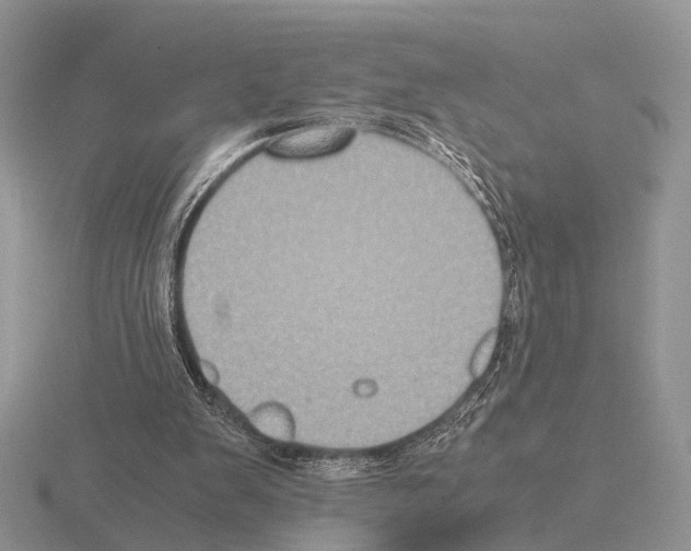 X0000115390103200912151508