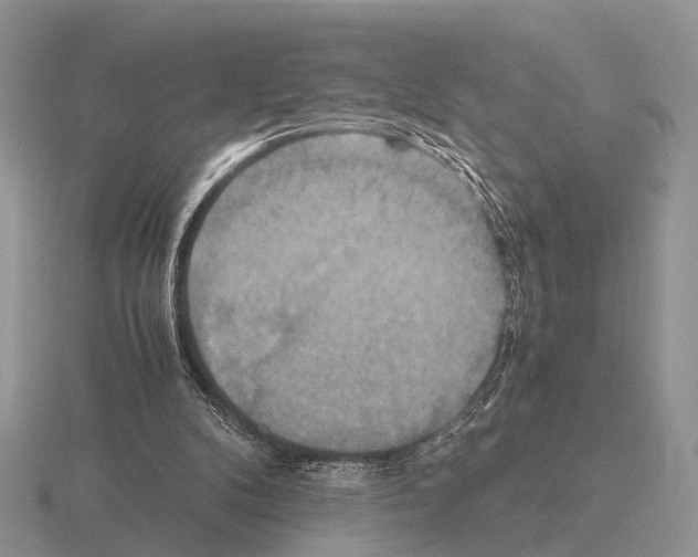 X0000115390104200912151508