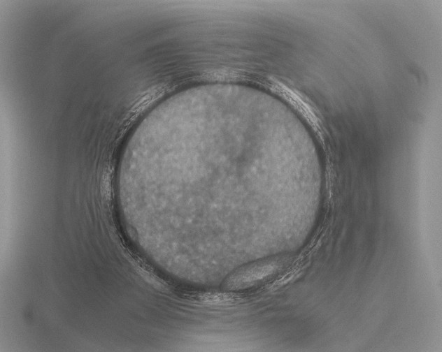 X0000115390105200912151508