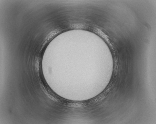 X0000115390106200912151508