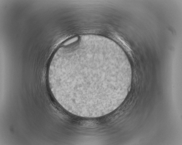 X0000115390107200912151508