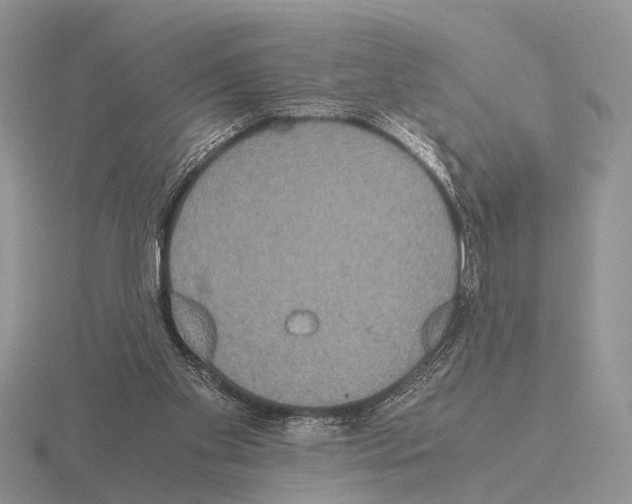 X0000115390109200912151508