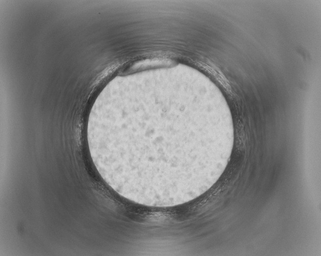 X0000115390111200912151508