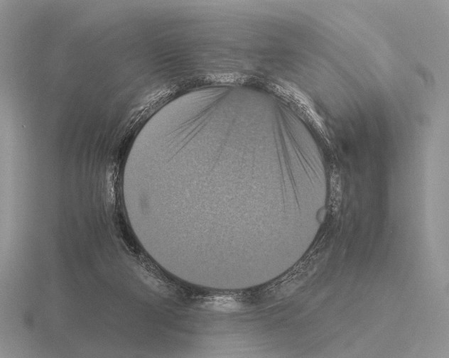 X0000115390114200912151508