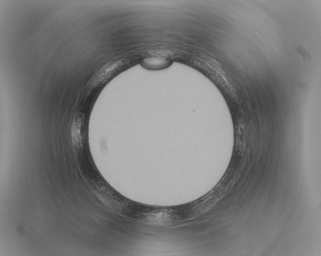 X0000115390116200912151508