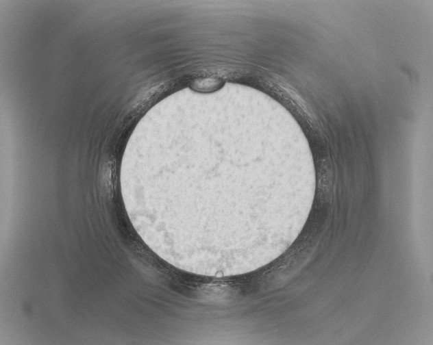 X0000115390119200912151508