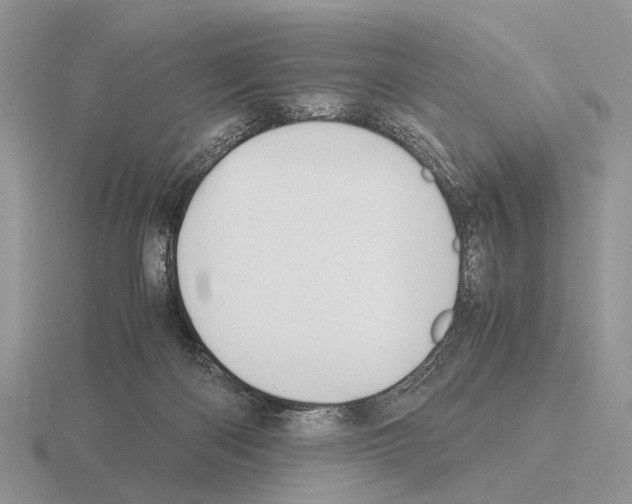 X0000115390122200912151508