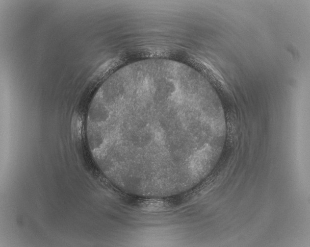 X0000115390123200912151507