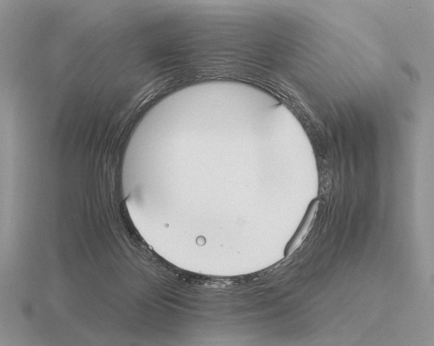 X0000115390124200912151507