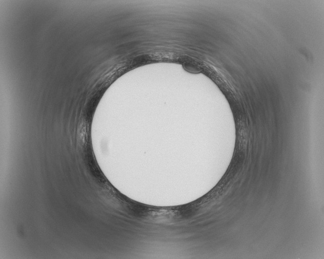 X0000115390125200912151507