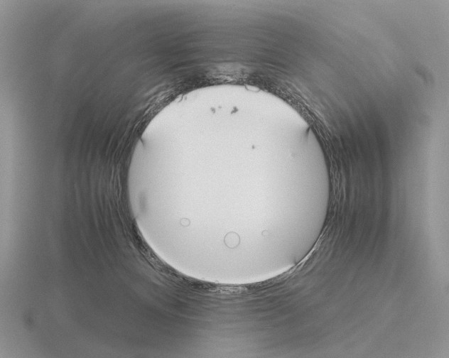 X0000115390128200912151507