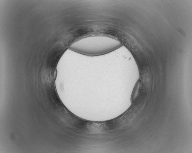 X0000115390129200912151507