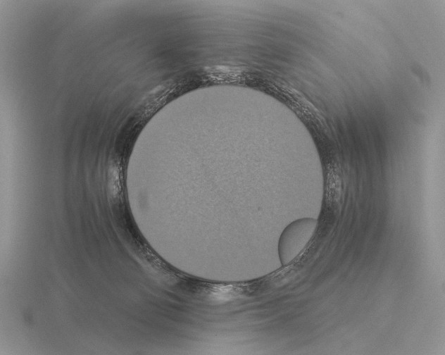 X0000115390130200912151507