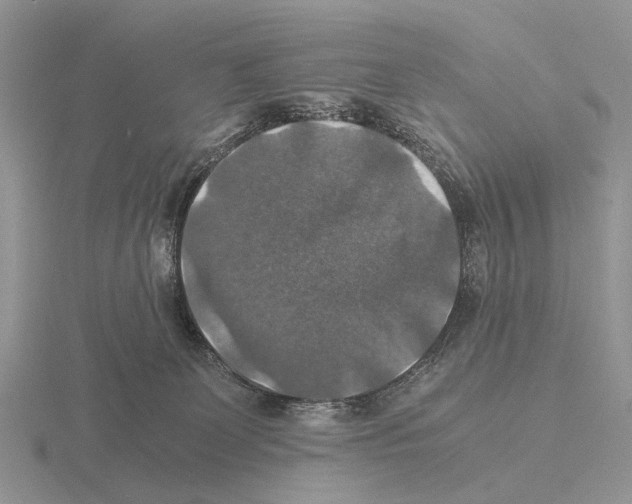 X0000115390131200912151507