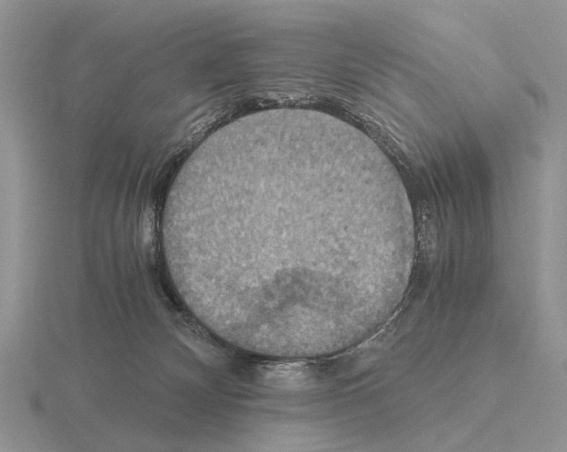 X0000115390132200912151507