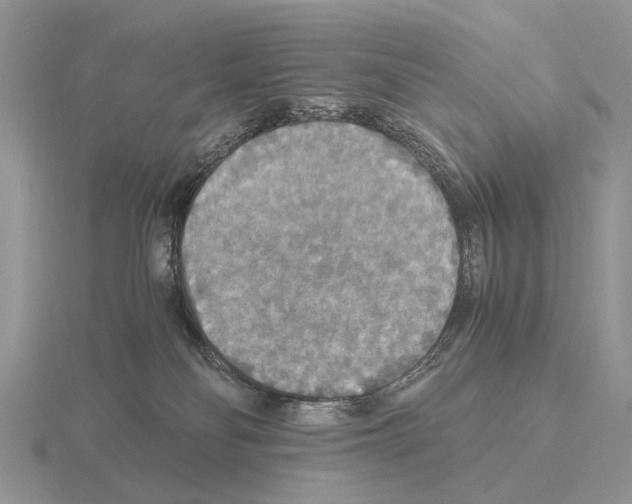 X0000115390134200912151507