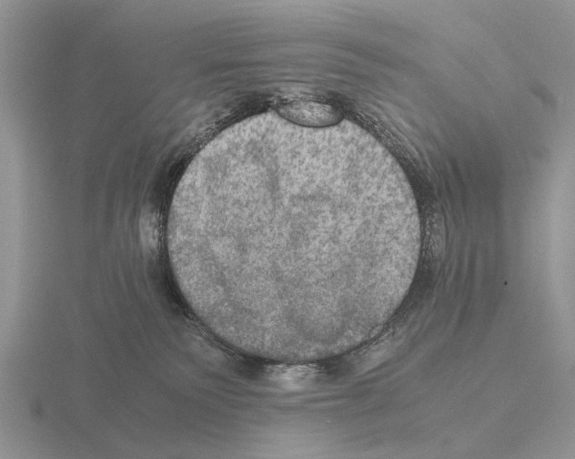 X0000115390135200912151507