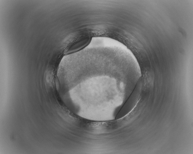 X0000115390136200912151507