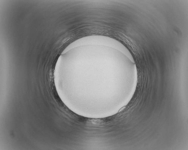 X0000115390137200912151507