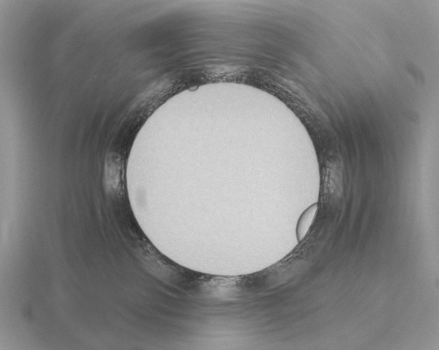 X0000115390138200912151507