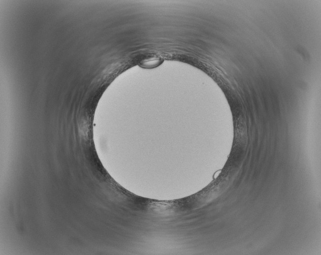 X0000115390139200912151507