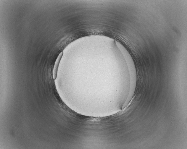 X0000115390140200912151507