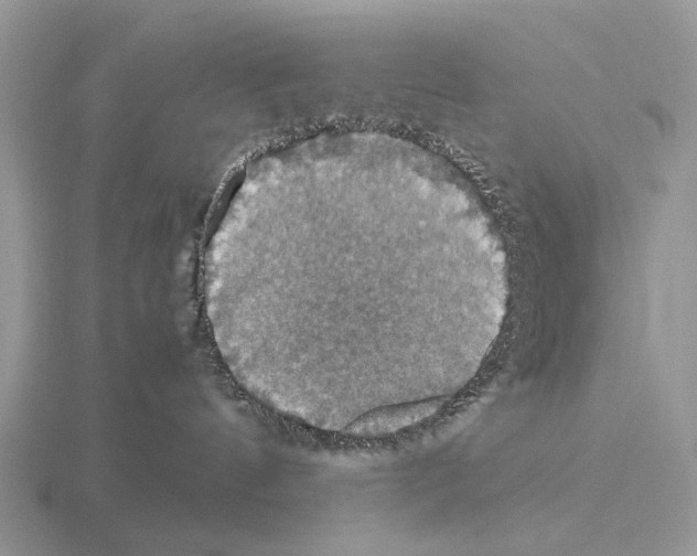 X0000115390144200912151507