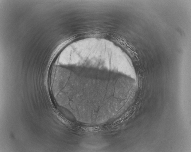 X0000115390147200912151507