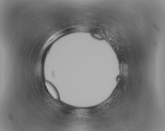 X0000115390150200912151507